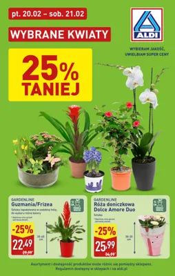 Aldi kwiaty