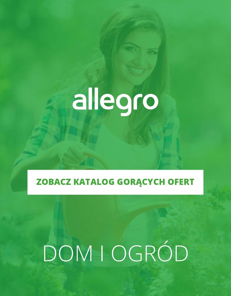 Gazetka promocyjna Allegro do 08/04/2018 str.0