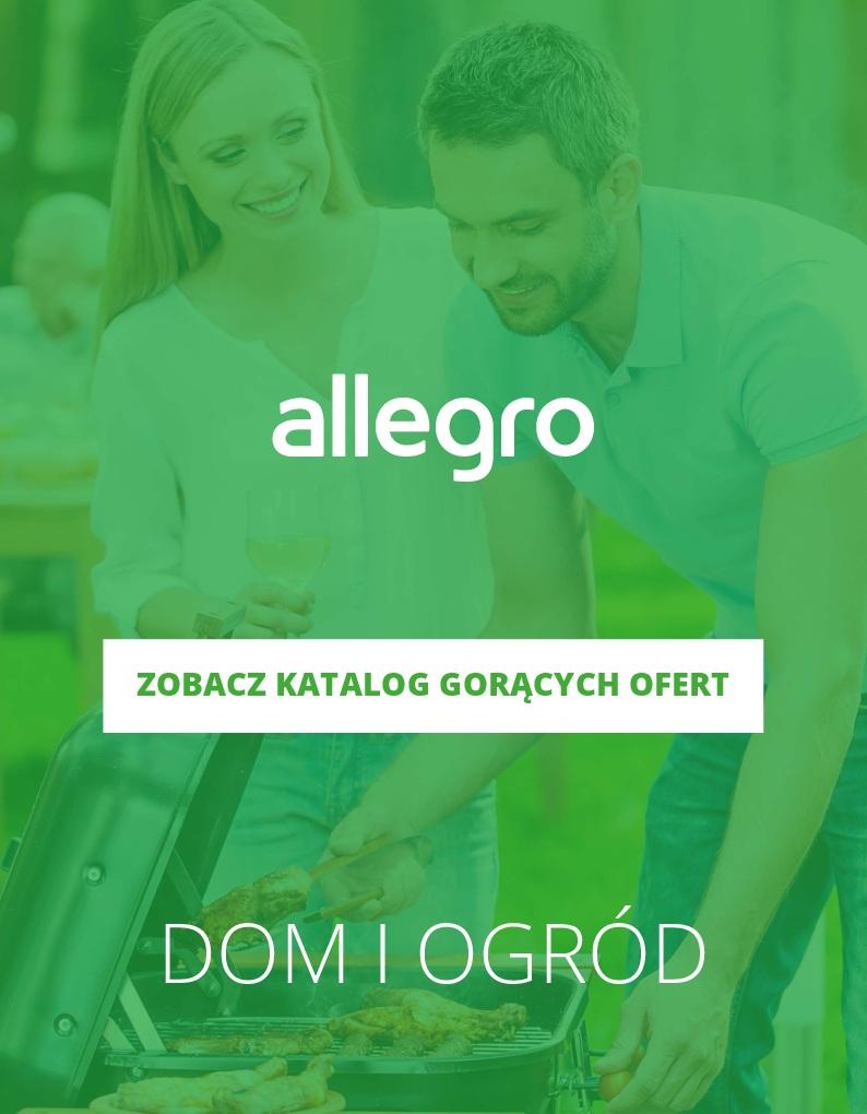 Gazetka promocyjna Allegro do 22/04/2018 str.0