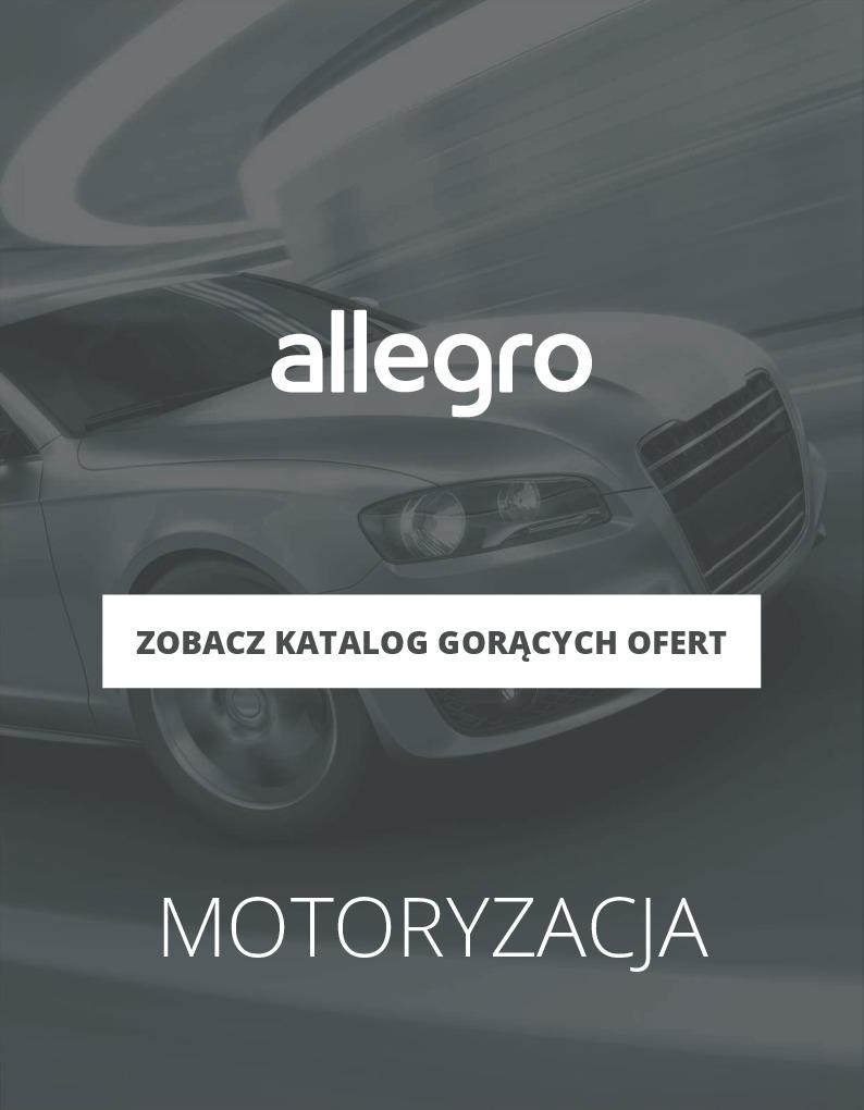 Gazetka promocyjna Allegro do 29/07/2018 str.1