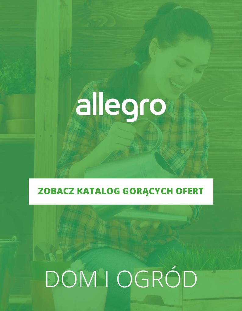 Gazetka promocyjna Allegro do 04/03/2018 str.0