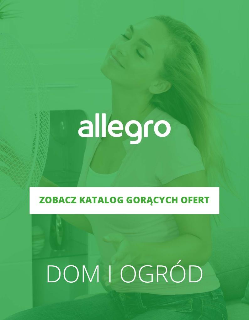 Gazetka promocyjna Allegro do 15/07/2018 str.0
