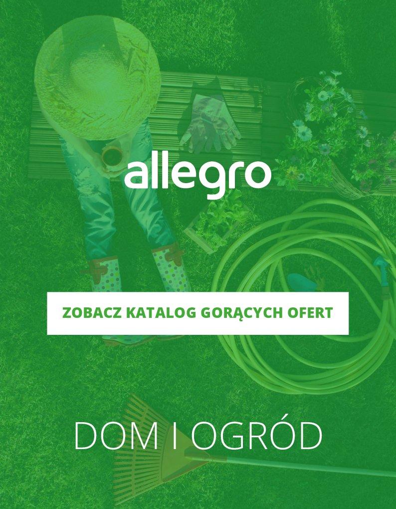 Gazetka promocyjna Allegro do 22/07/2018 str.0