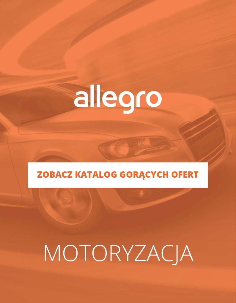 Gazetka promocyjna Allegro do 28/01/2018 str.0