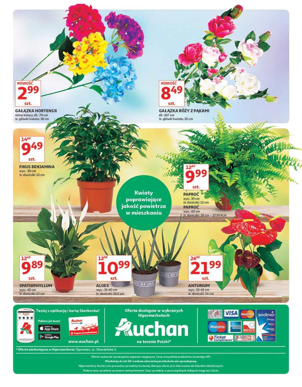 Gazetka promocyjna Auchan do 24/10/2018 str.16