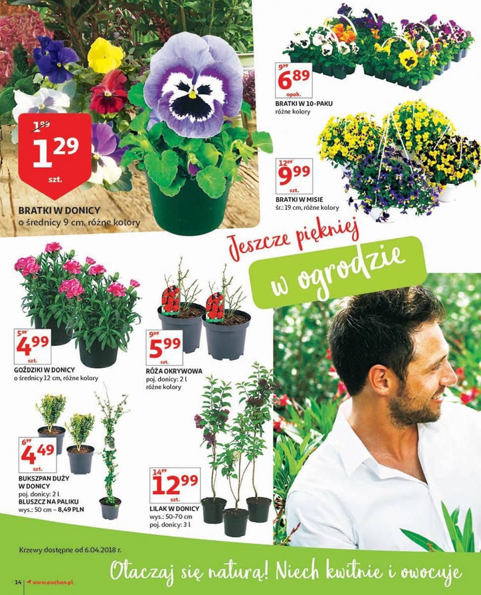 Gazetka promocyjna Auchan do 14/04/2018 str.14