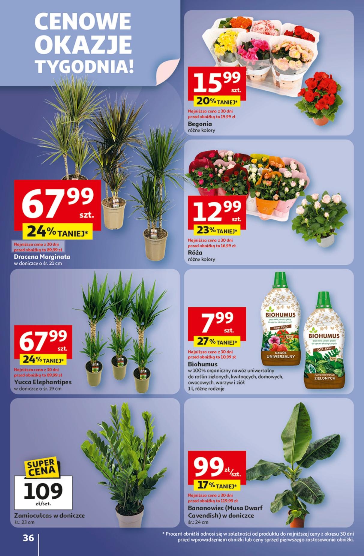 Gazetka promocyjna Auchan do 08/10/2025 str.36