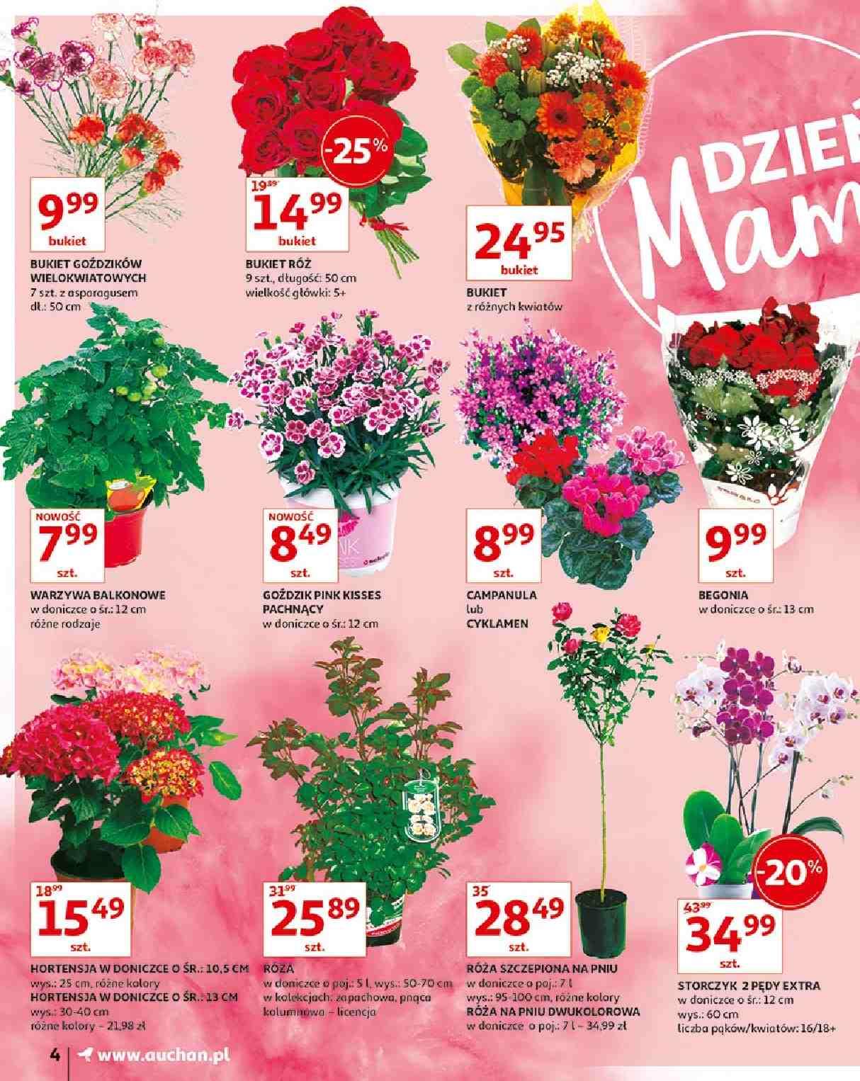 Gazetka promocyjna Auchan do 01/06/2019 str.4