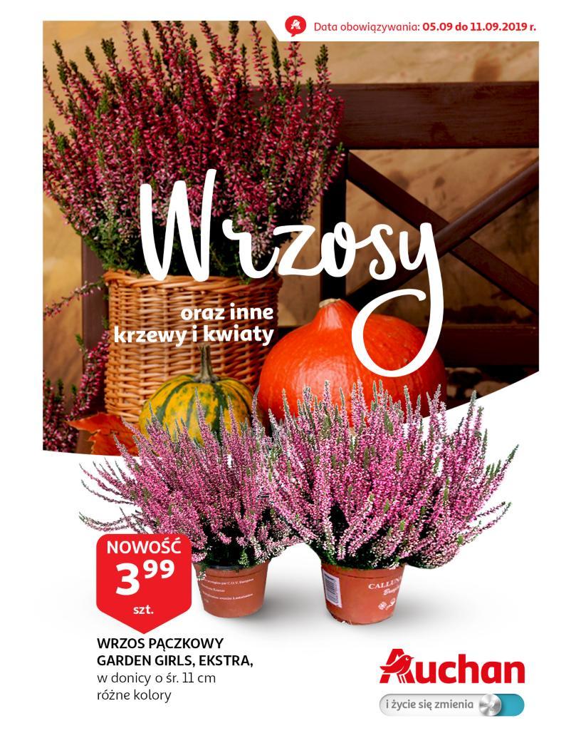 Gazetka promocyjna Auchan do 11/09/2019 str.0