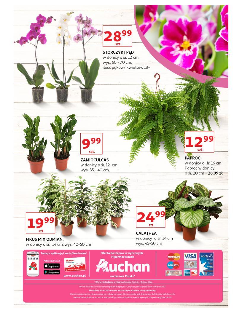 Gazetka promocyjna Auchan do 11/09/2019 str.7