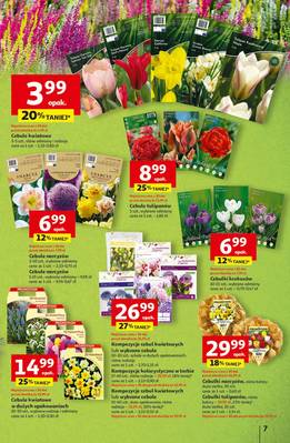 Gazetka Auchan
