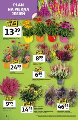 Gazetka Auchan