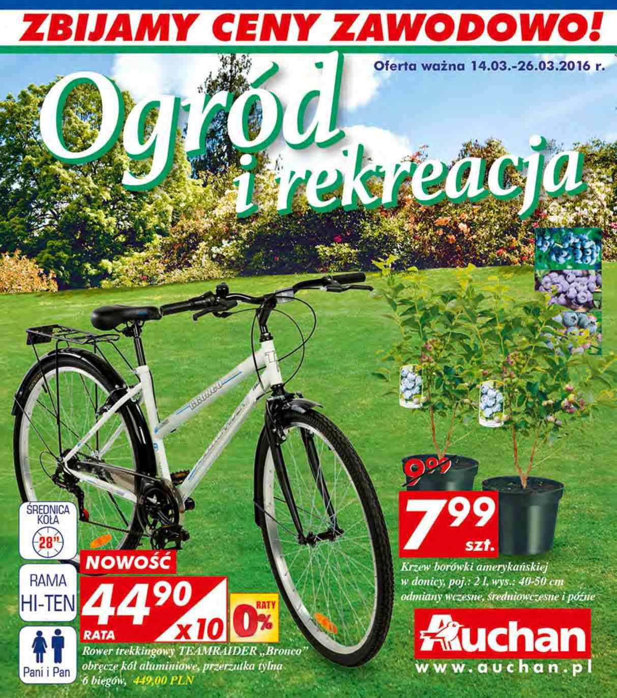 Gazetka promocyjna Auchan do 26/03/2016 str.0