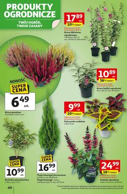 Gazetka Auchan