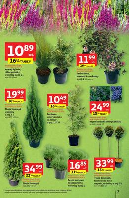 Gazetka Auchan