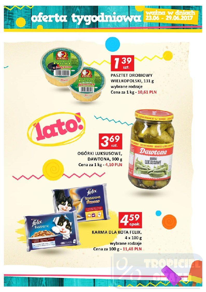 Gazetka promocyjna Auchan do 29/06/2017 str.13