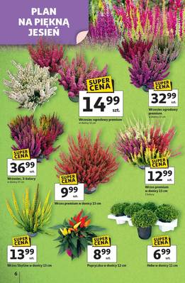 Gazetka Auchan