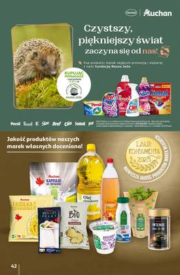 Gazetka Auchan
