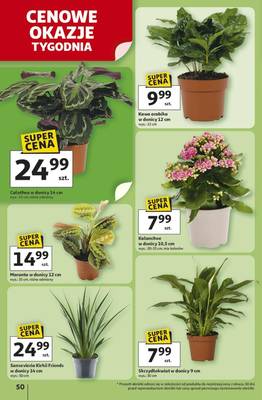 Gazetka Auchan