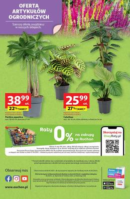 Gazetka Auchan