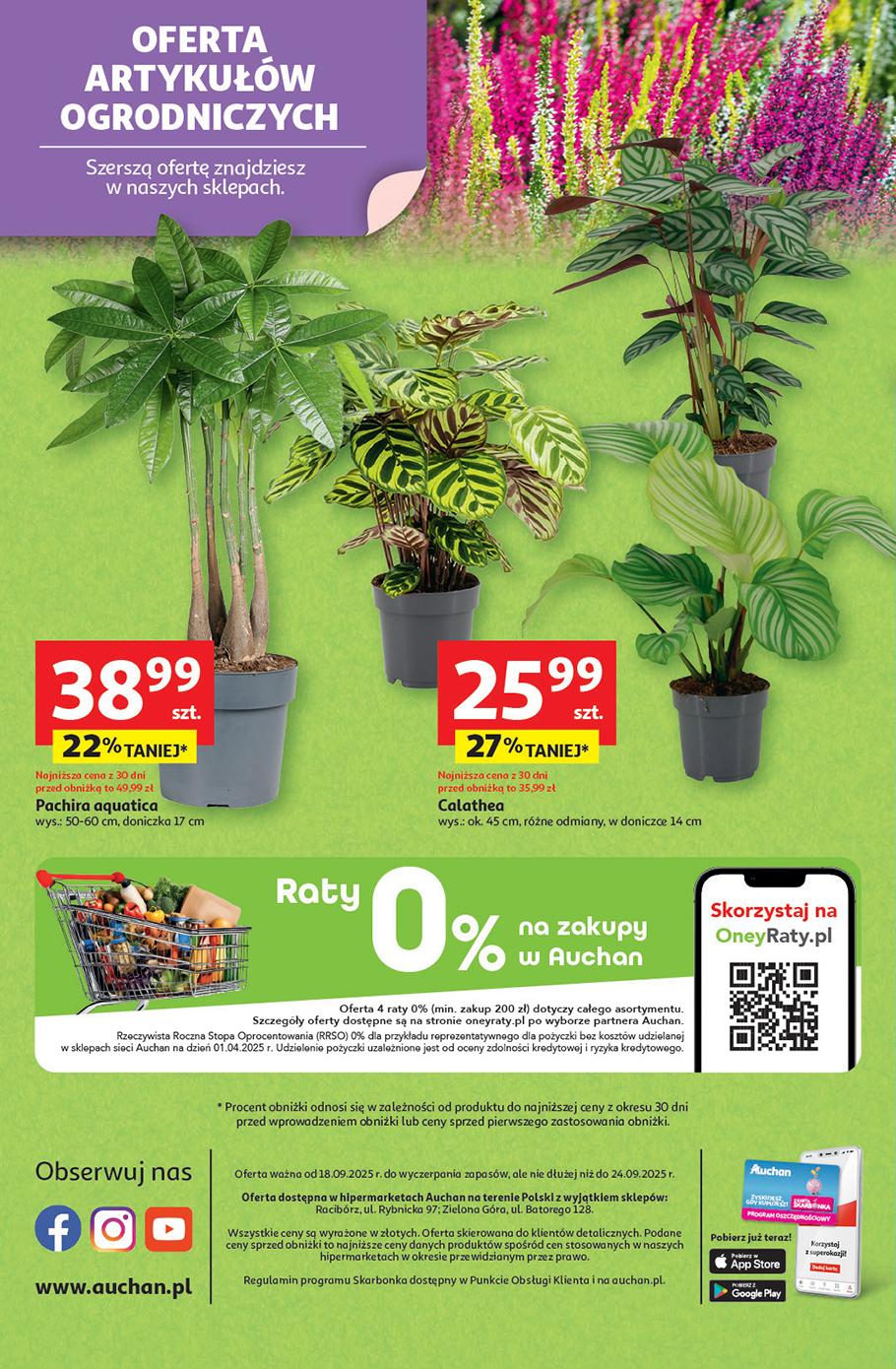 Gazetka promocyjna Auchan do 24/09/2025 str.45