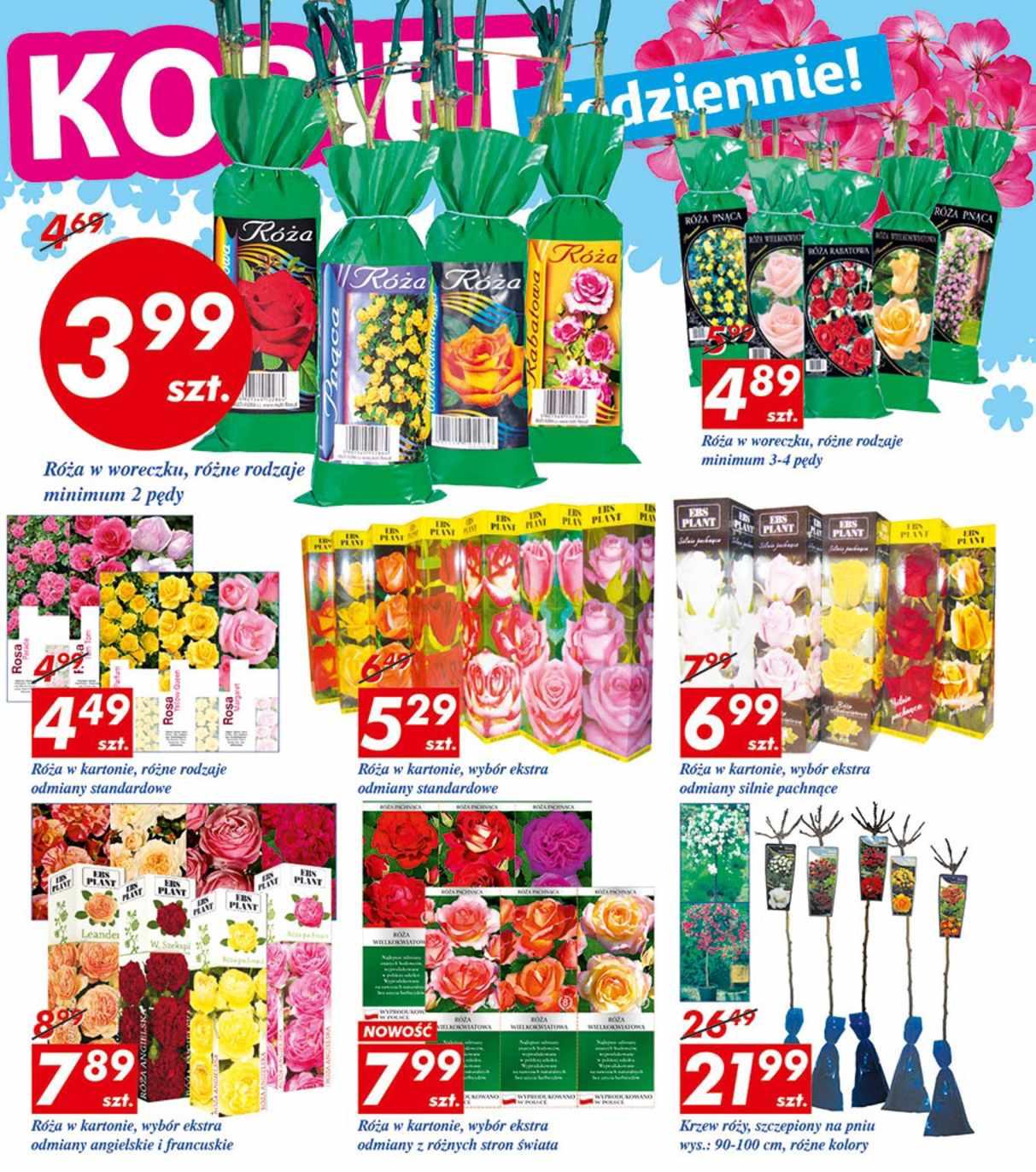 Gazetka promocyjna Auchan do 08/03/2017 str.11