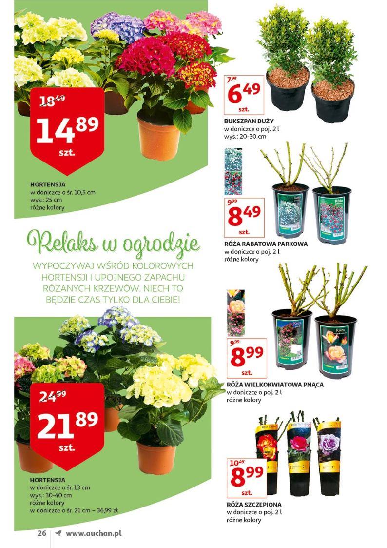Gazetka promocyjna Auchan do 30/04/2019 str.25