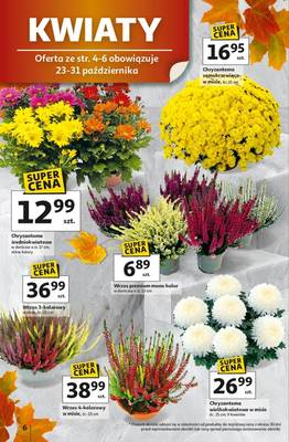 Gazetka Auchan