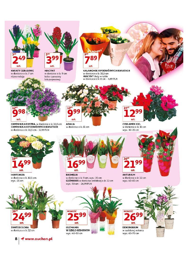 Gazetka promocyjna Auchan do 14/02/2019 str.8