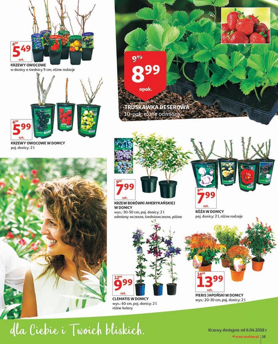 Gazetka promocyjna Auchan do 14/04/2018 str.15