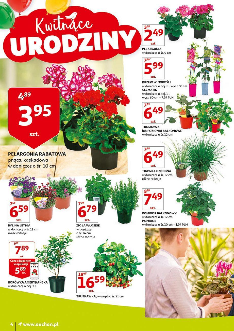 Gazetka promocyjna Auchan do 04/05/2018 str.4