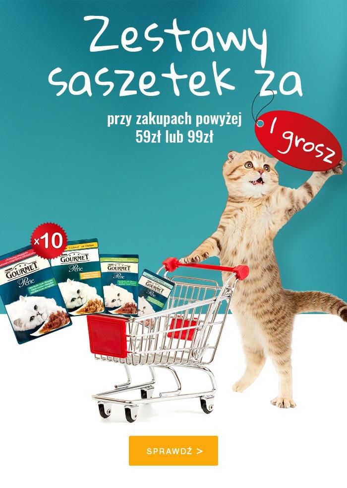 Gazetka promocyjna bdsklep.pl do 15/04/2016 str.19