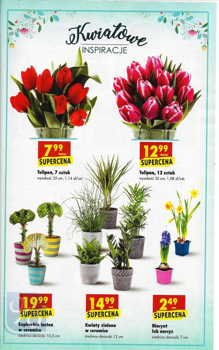 Gazetka promocyjna Biedronka do 21/02/2018 str.50