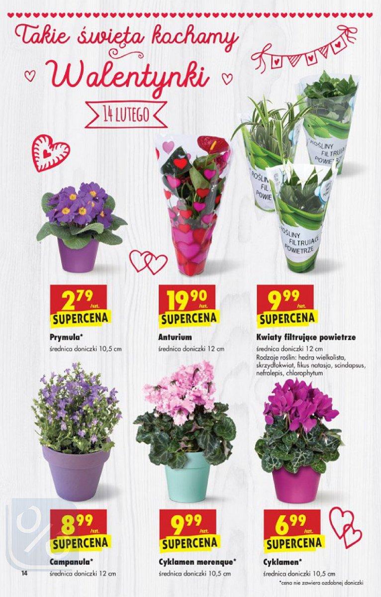 Gazetka promocyjna Biedronka do 14/02/2018 str.14
