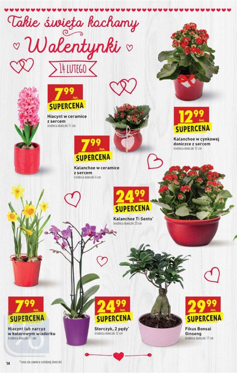 Gazetka promocyjna Biedronka do 18/02/2018 str.14