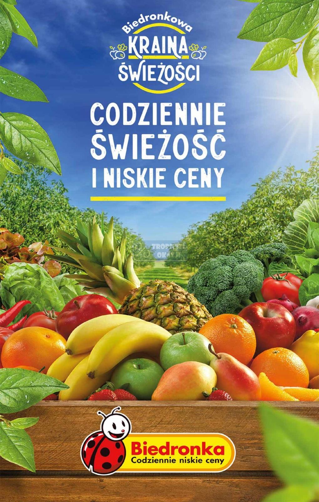 Gazetka promocyjna Biedronka do 15/07/2023 str.59