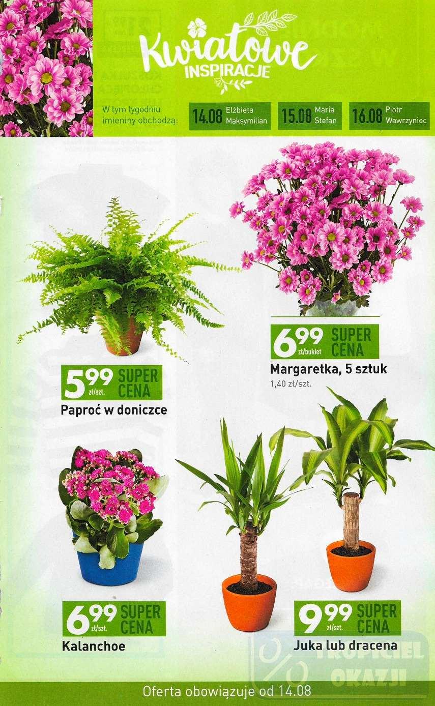 Gazetka promocyjna Biedronka do 20/08/2017 str.25