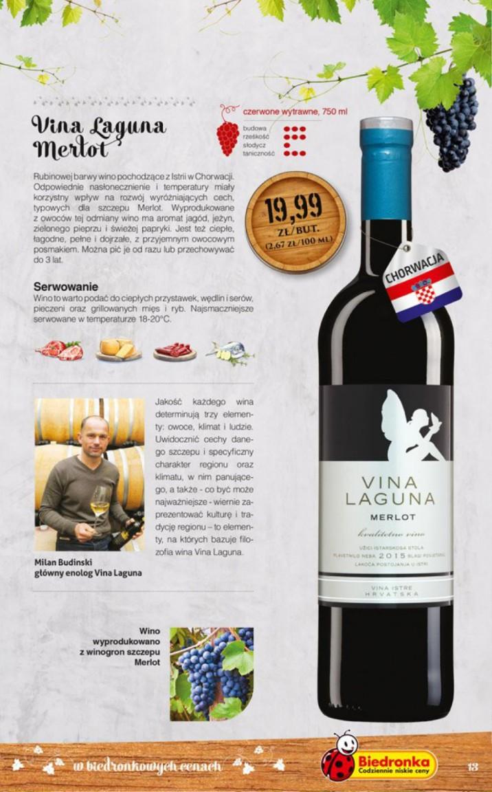 Gazetka promocyjna Biedronka do 20/11/2016 str.13