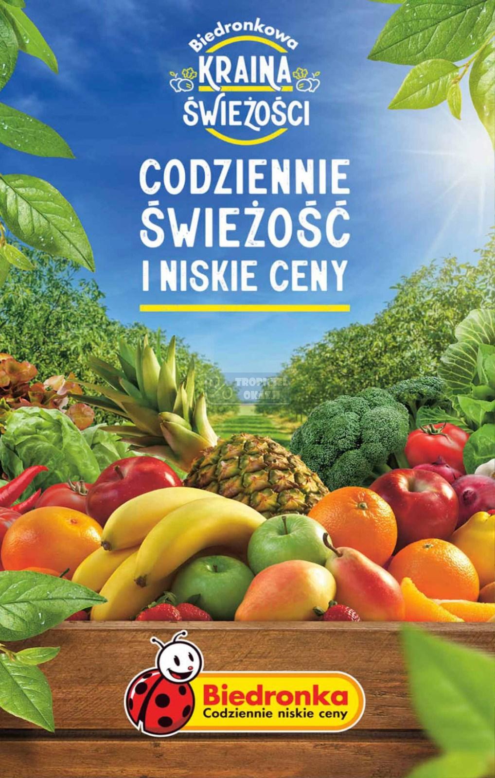 Gazetka promocyjna Biedronka do 19/08/2023 str.51