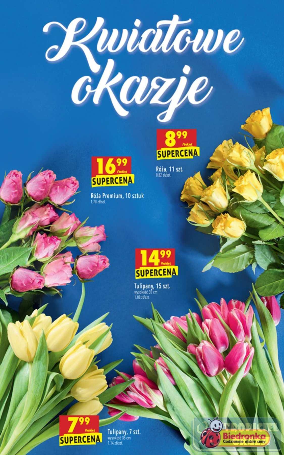 Gazetka promocyjna Biedronka do 30/01/2019 str.51