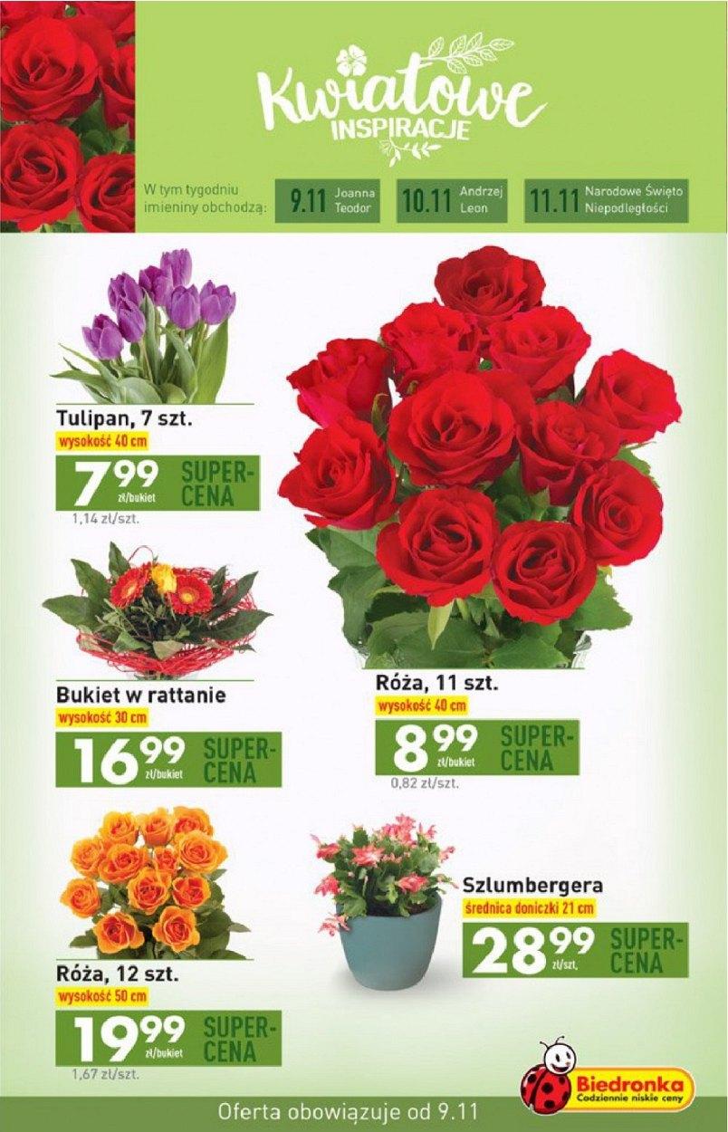 Gazetka promocyjna Biedronka do 15/11/2017 str.43