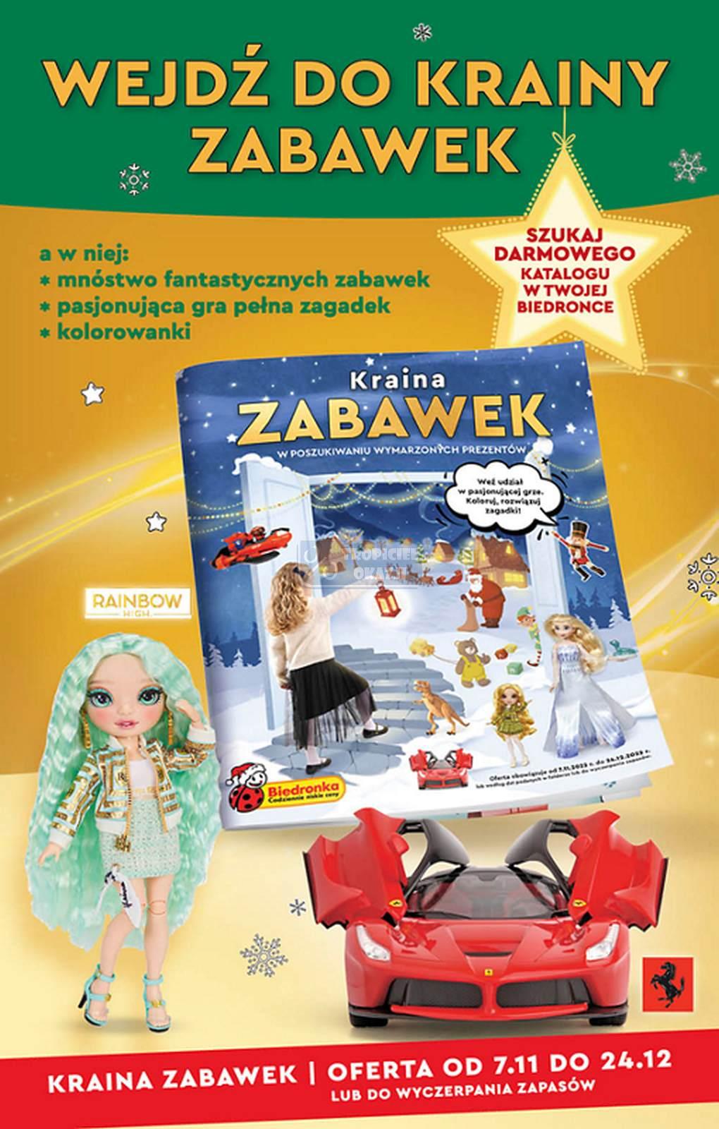 Gazetka promocyjna Biedronka do 12/11/2022 str.53
