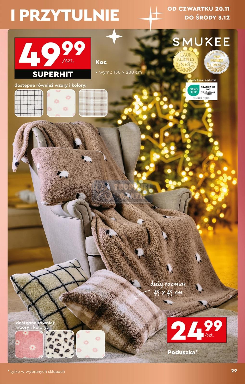 Gazetka promocyjna Biedronka do 29/11/2025 str.31