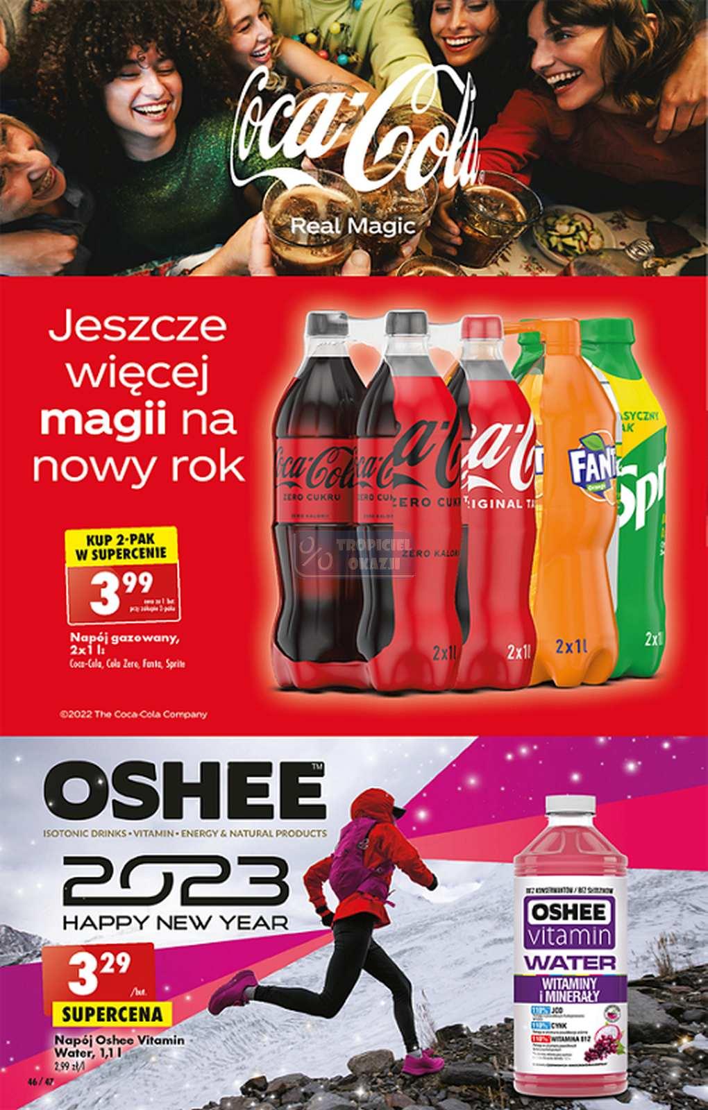 Gazetka promocyjna Biedronka do 04/01/2023 str.46