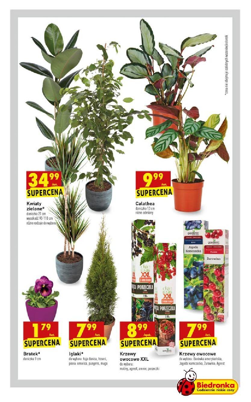 Gazetka promocyjna Biedronka do 06/04/2019 str.63