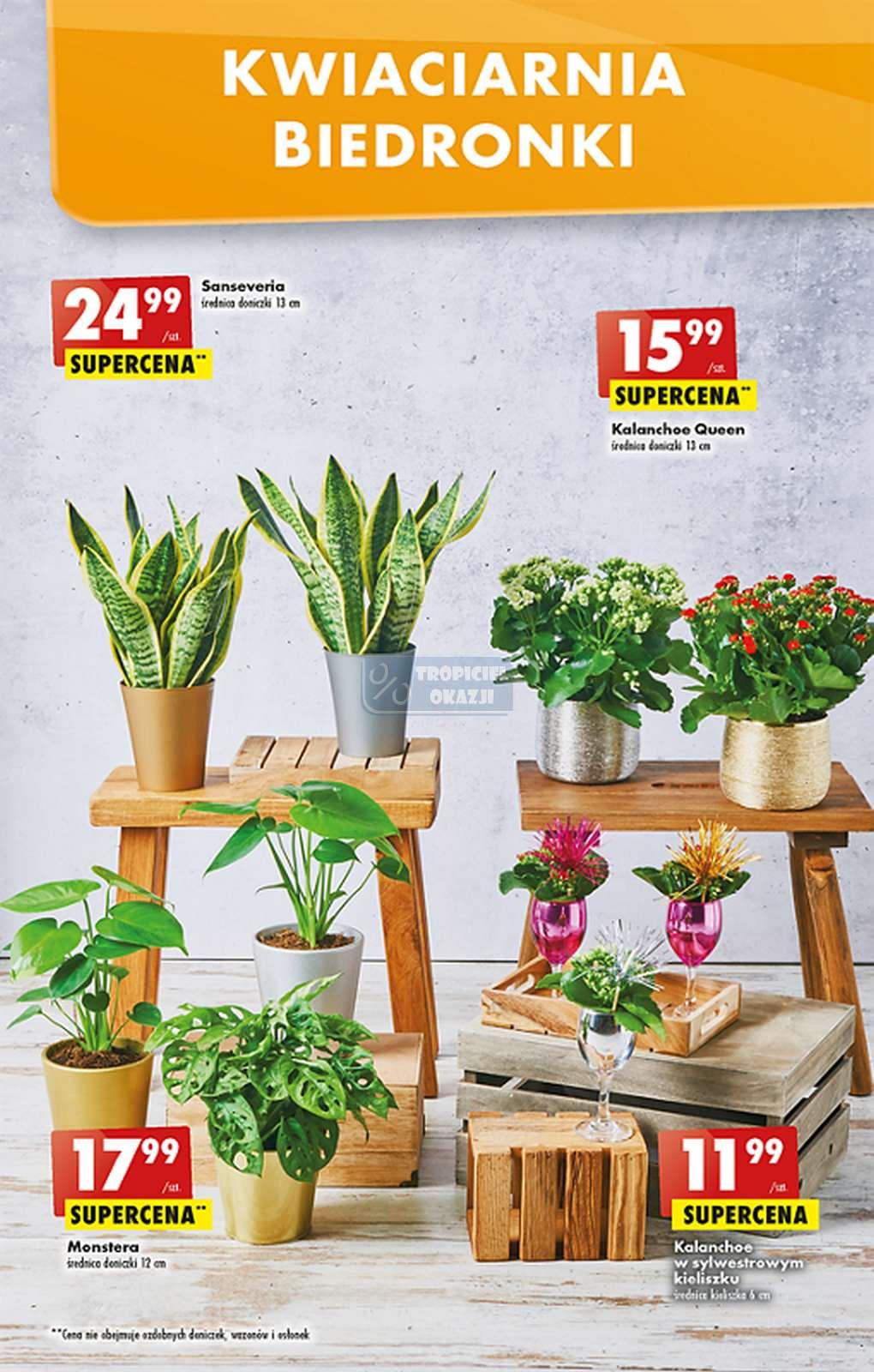 Gazetka promocyjna Biedronka do 31/12/2022 str.53