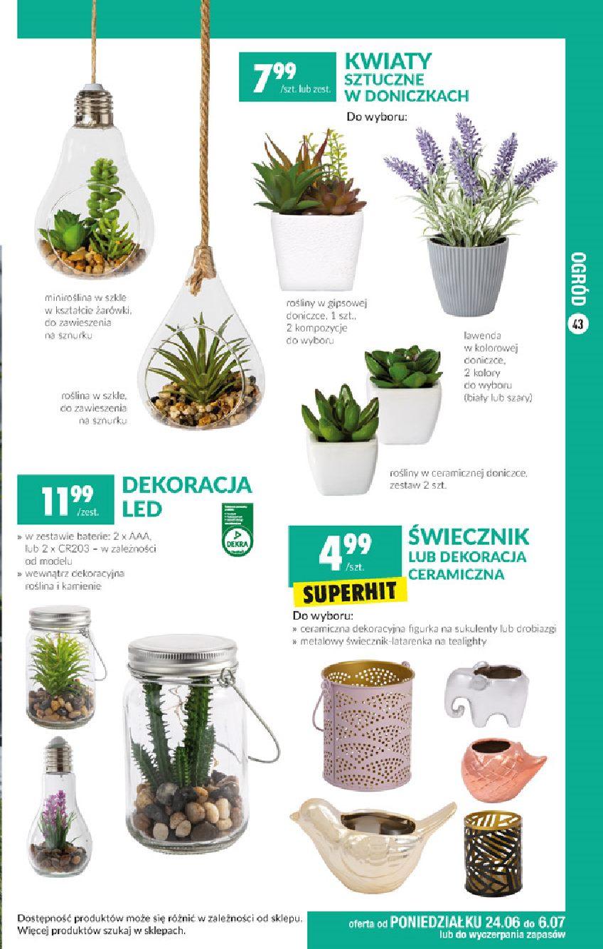 Gazetka promocyjna Biedronka do 06/07/2019 str.43