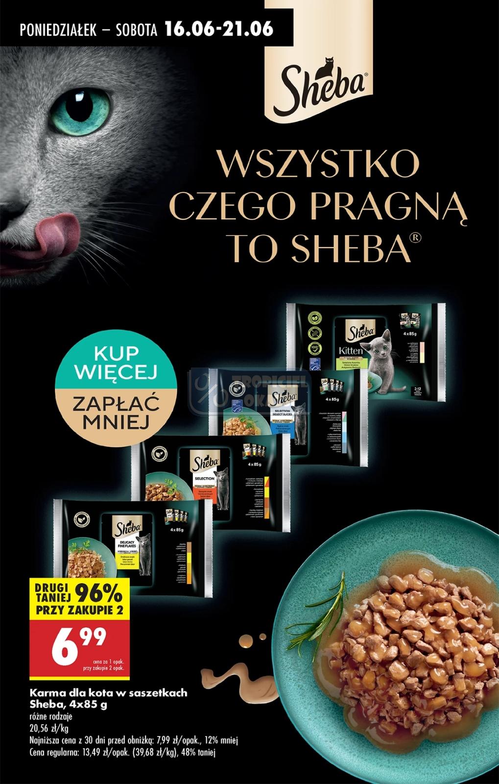 Gazetka promocyjna Biedronka do 21/06/2025 str.71