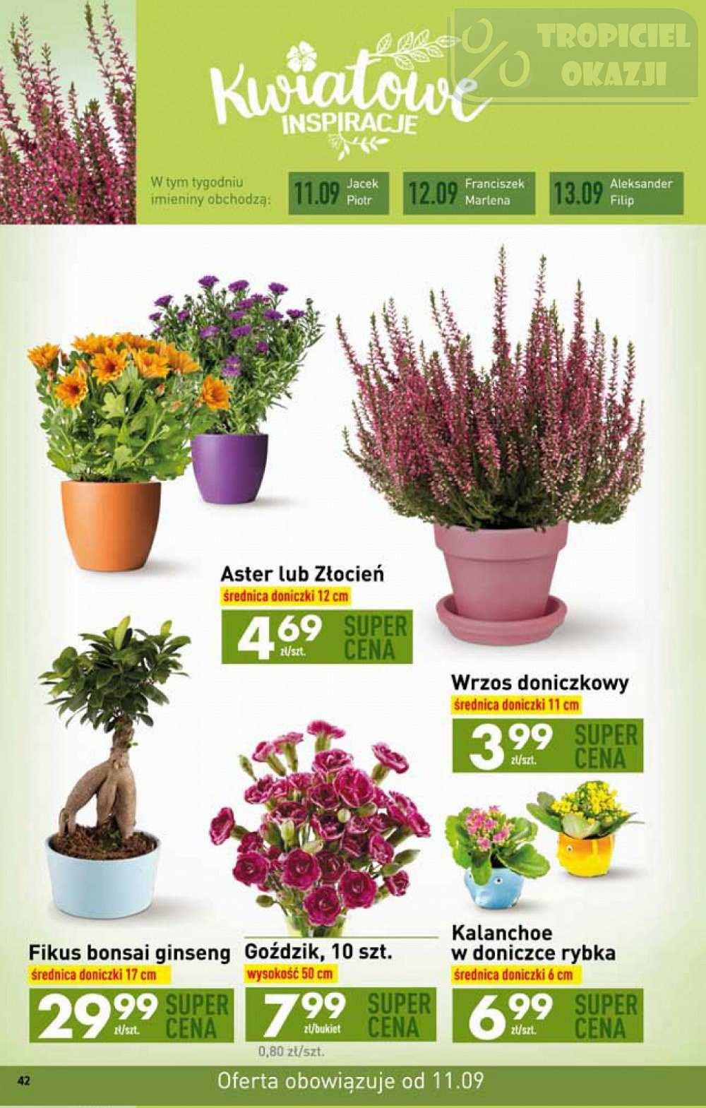Gazetka promocyjna Biedronka do 17/09/2017 str.42