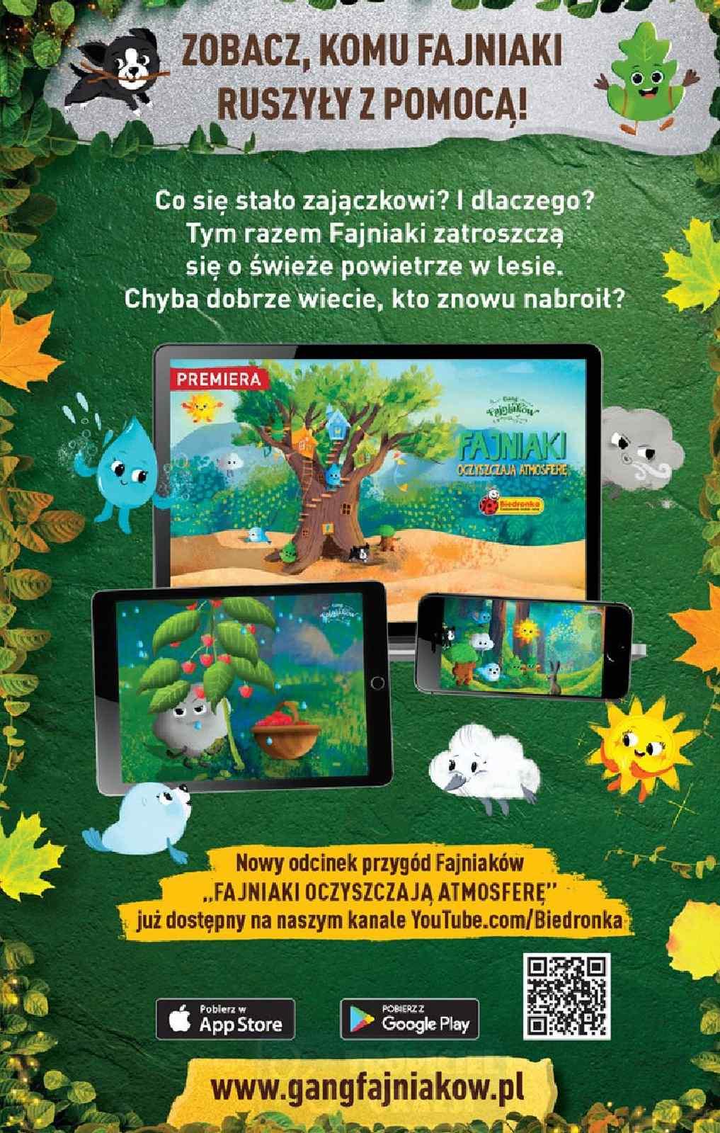 Gazetka promocyjna Biedronka do 11/11/2020 str.13
